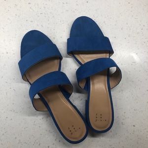 Adorable Royal Blue Double Strap Suede Slides